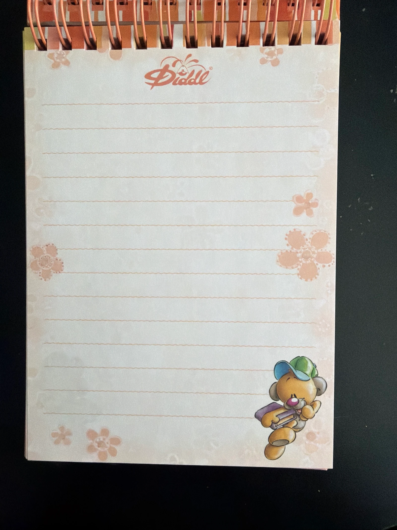 Caderno espiral coleção Diddl verão/volta às aulas – photo 2